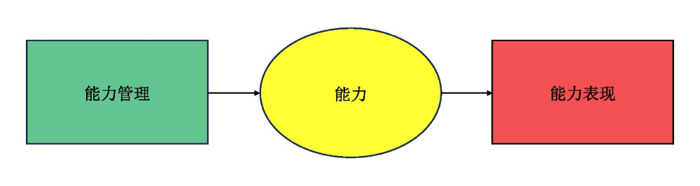 图2 组织能力关系模型